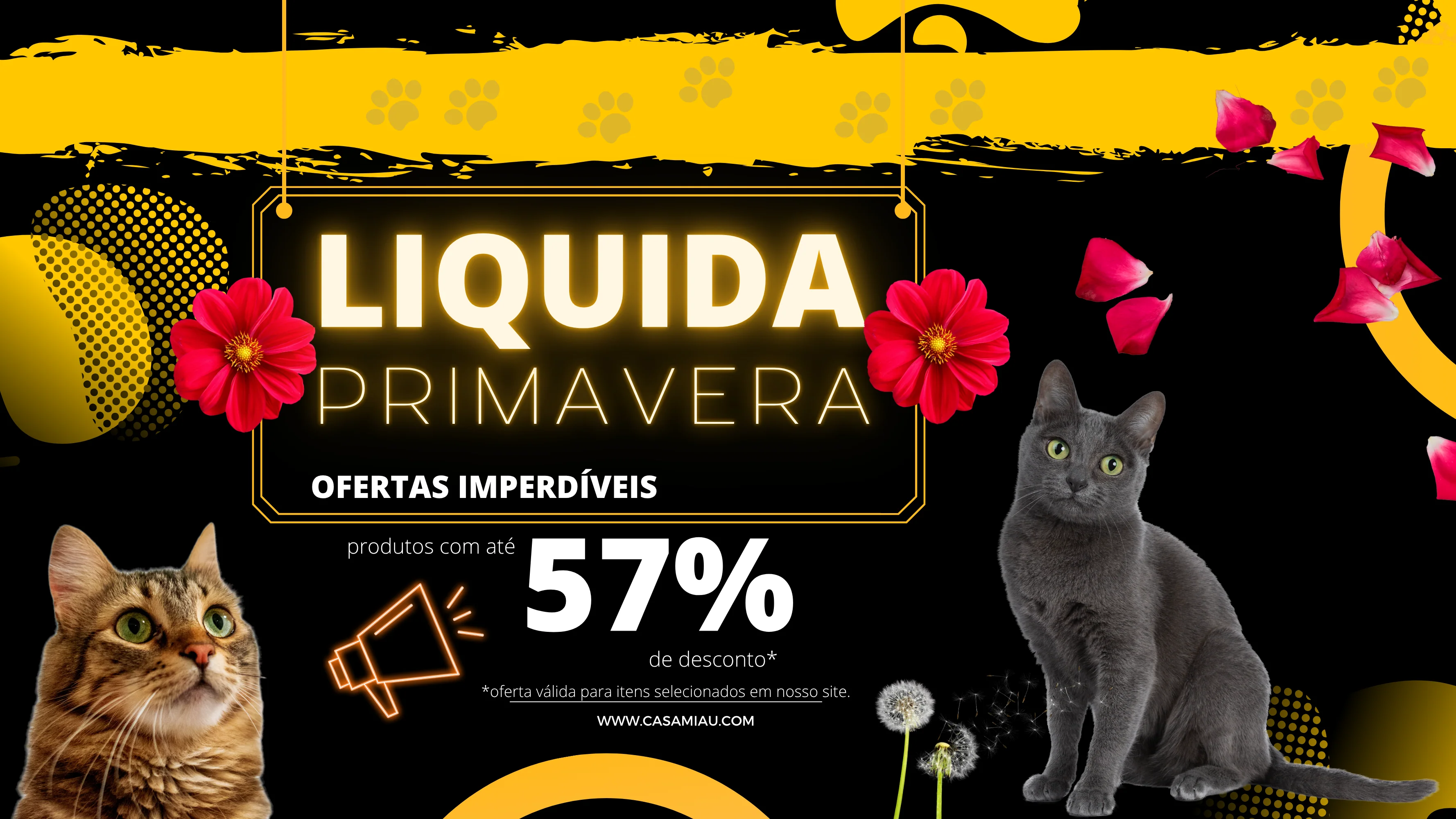 Onde Gatos Encontram sua Felicidade